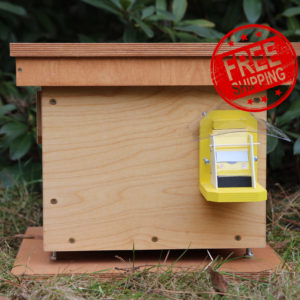 Bumblebee nest box - Economy